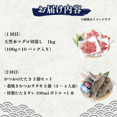 2回定期便　本マグロとかつおの定期便