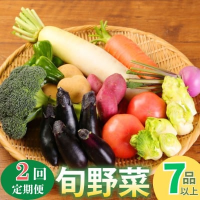 季節のお野菜詰め合わせセット 定期便 2回 旬の詰め合わせ 産地直送 季節の新鮮 ふるさと納税
