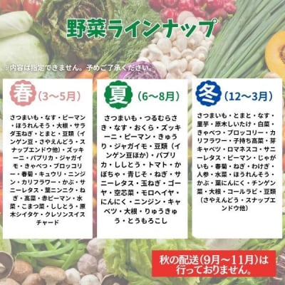 季節のお野菜詰め合わせセット 定期便 2回 旬の詰め合わせ 産地直送 季節の新鮮 ふるさと納税