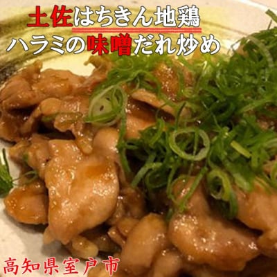 土佐肉の定期便2回連続お届け
