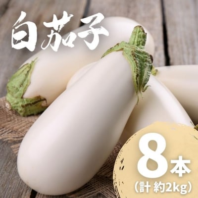  農家直送 白茄子 土佐の美味茄子の新鮮ナス 8本 2kg 野菜 なす ナス 常温 小袋 