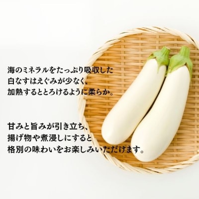  農家直送 白茄子 土佐の美味茄子の新鮮ナス 8本 2kg 野菜 なす ナス 常温 小袋 