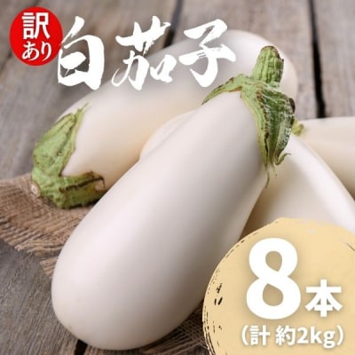 【訳あり】 農家直送 白茄子 土佐の美味茄子の新鮮ナス 8本 2kg 野菜 なす ナス 常温 小袋 