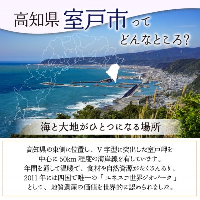 自家製パウンドケーキ 塩 1本(約15cm)