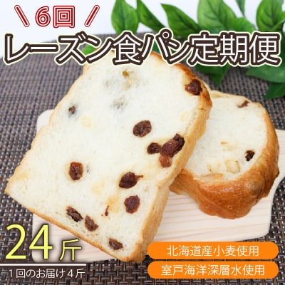【室戸海洋深層水仕込み】レーズン食パン年6回定期便