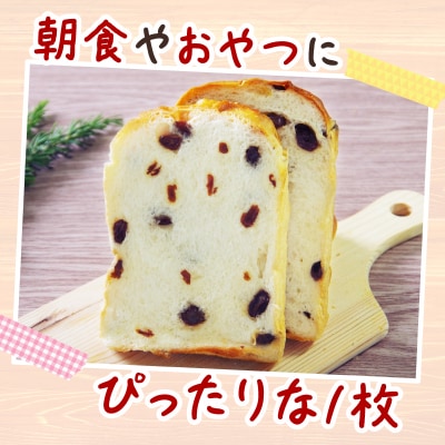 【室戸海洋深層水仕込み】レーズン食パン年6回定期便