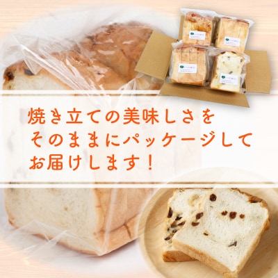 【室戸海洋深層水仕込み】レーズン食パン年6回定期便