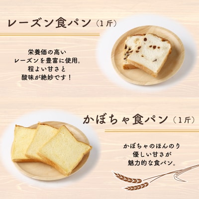 【室戸海洋深層水仕込み】食パンバラエティセット年6回定期便