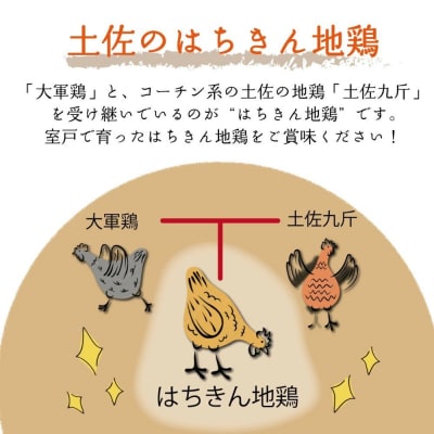 はちきん地鶏 カット済みむね肉500g 地鶏 高タンパク ヘルシー 鶏肉 室戸市