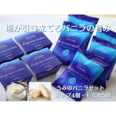 うみのバニラセット(アイスクリーム) 9個入り 室戸海洋深層水使用