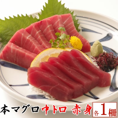 天然本マグロ　中トロ・赤身　各1柵　(計400g)