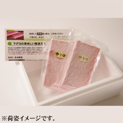 天然本マグロ　中トロ2柵　赤身1柵　(計600g)