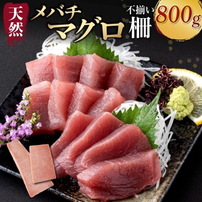 【 訳あり 】天然メバチマグロ 800g (不揃い柵)