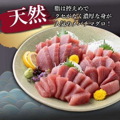 【 訳あり 】天然メバチマグロ 約1.3kg (不揃い柵)