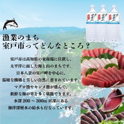 室戸ぽんかん　LLサイズ　5kg　優品