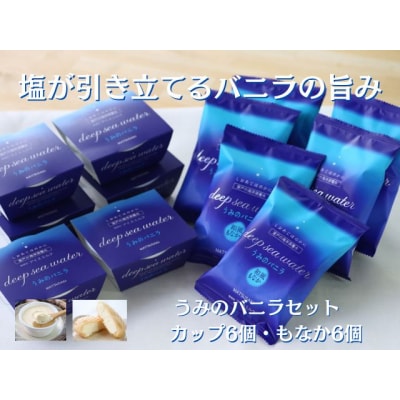 うみのバニラセット(アイスクリーム) 12個入り 室戸海洋深層水使用