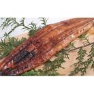 徳さんオススメ定期便【5ヶ月連続お届け】 頒布会