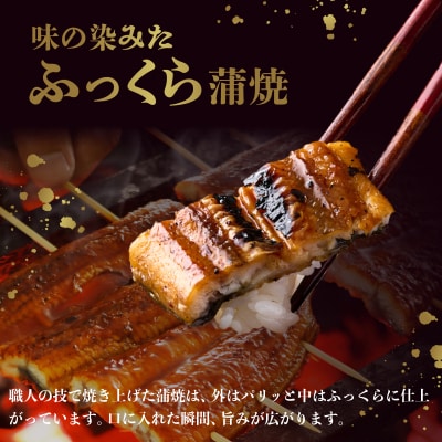 ヤマジュウ厳選!国産蒲焼き1尾【3回定期便】 頒布会