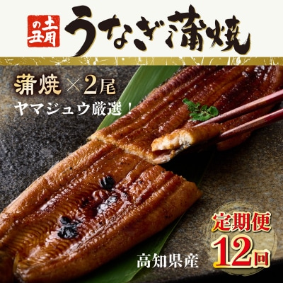 ヤマジュウ厳選!国産蒲焼き2尾【12回定期便】