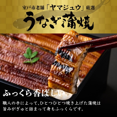 ヤマジュウ厳選!国産蒲焼き2尾【12回定期便】