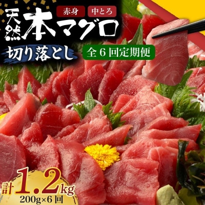 【 6回定期便 】 天然本マグロ 中トロ 赤身 切り落とし 200g 小分け(100g×2パック)