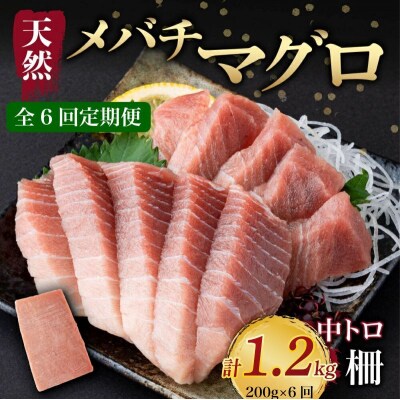 【 6回定期便 】 天然メバチマグロ 【 中トロ 】200g(柵)