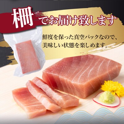 天然メバチマグロ 【 中トロ 】300g(柵)