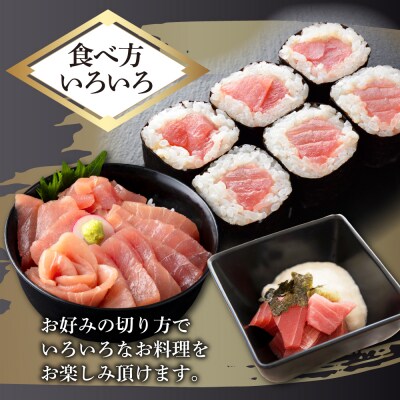 天然メバチマグロ 【 中トロ 】300g(柵)