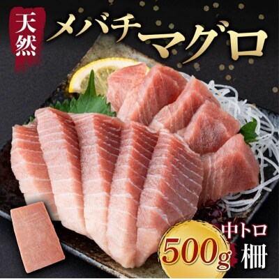 天然メバチマグロ 【 中トロ 】500g(柵)