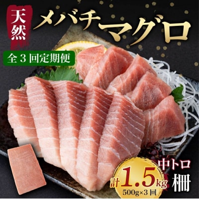 【 3回定期便 】 天然メバチマグロ 【 中トロ 】500g(柵)