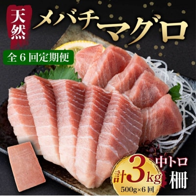 【 6回定期便 】 天然メバチマグロ 【 中トロ 】500g(柵)