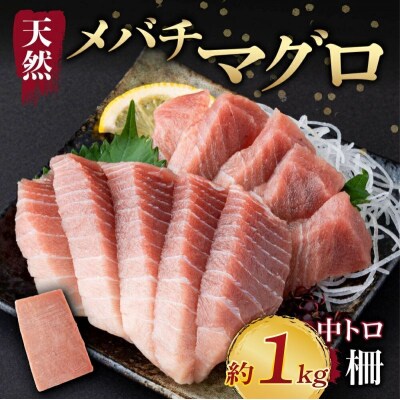 天然メバチマグロ 【 中トロ 】1kg(柵)