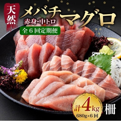 【 6回定期便 】 天然 マグロ 中トロ 赤身 柵 計680g以上