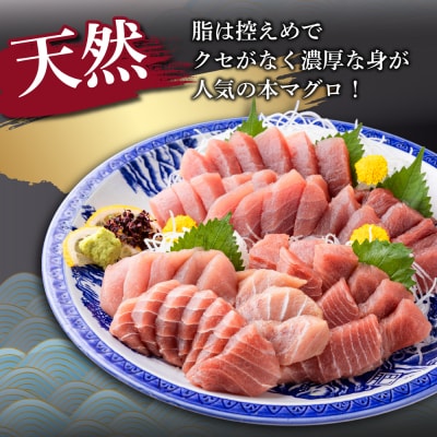 【 6回定期便 】 天然 マグロ 中トロ 赤身 柵 計680g以上