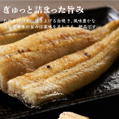 【 12回 定期便 】徳さんこだわりの手焼き 白焼きうなぎ 2尾