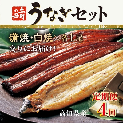 蒲焼き・白焼きを交互にお届け!国産うなぎ1尾【全4回定期便】