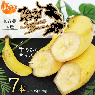 【訳あり】 高知県産 侍バナナ 7本 室戸海洋深層水使用