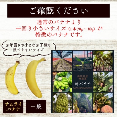 【訳あり】 高知県産 侍バナナ 7本 室戸海洋深層水使用