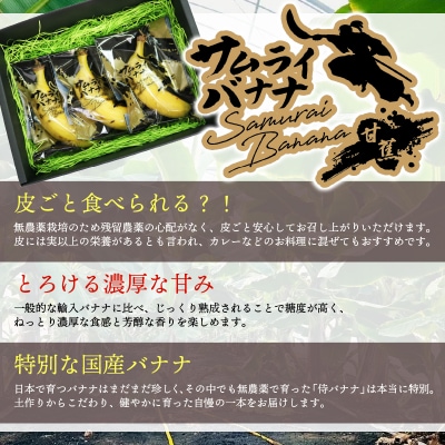 【訳あり】 高知県産 侍バナナ 7本 室戸海洋深層水使用