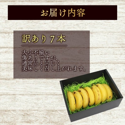 【訳あり】 高知県産 侍バナナ 7本 室戸海洋深層水使用