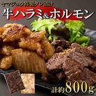 ヤマジュウの特選タレ漬け!牛ハラミ肉500g&国産牛ホルモン300g