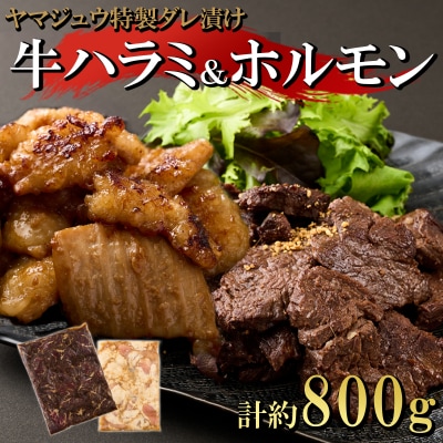 ヤマジュウの特選タレ漬け!牛ハラミ肉500g&国産牛ホルモン300g