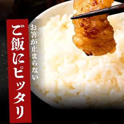 ヤマジュウの特選タレ漬け!牛ハラミ肉500g&国産牛ホルモン300g