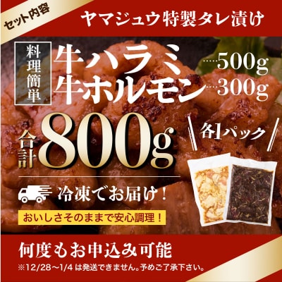 ヤマジュウの特選タレ漬け!牛ハラミ肉500g&国産牛ホルモン300g