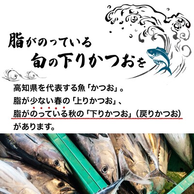 【定期便 6回】かつおのたたき 1節セット 計350g～400g (塩・タレ付き) 頒布会