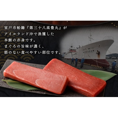 天然本まぐろ 赤身サク 合計約700g 刺身 柵 マグロ