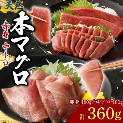 天然本まぐろ 赤身 中トロ 切落し お手軽 ちょこっとパック 合計360g 食べきりサイズ
