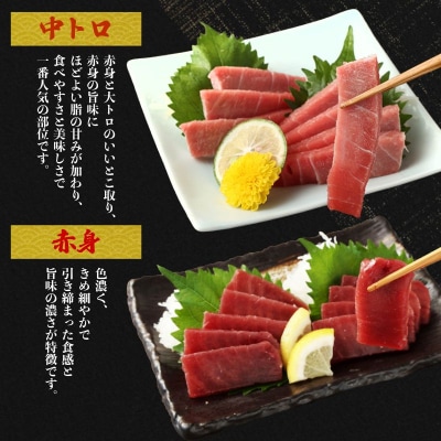 【 年末配送 限定 】 お正月用 極上 天然 本鮪 1kgセット(豊)