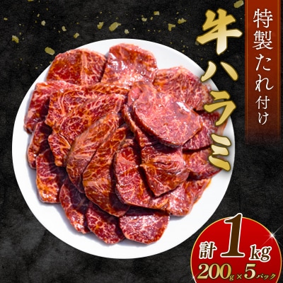 自家製 牛ハラミ たれ漬け 200g×5パック 計1kg