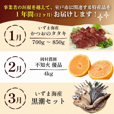 【定期便 12回】室戸まるごと定期便 人気の品12か月お届けコース